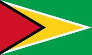 Guyana flag